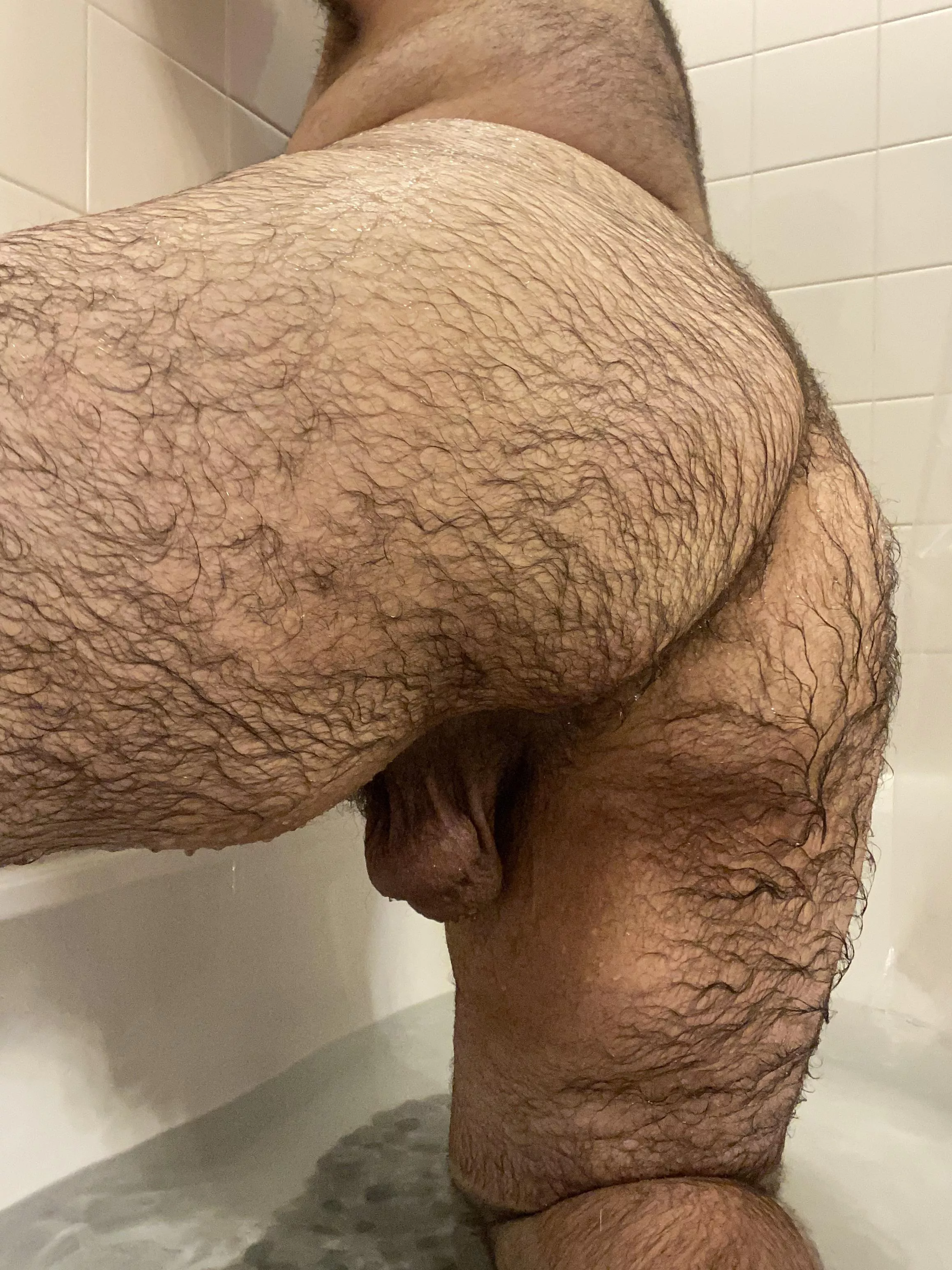 Anyone Like Hair Nudes Gaybears NUDE PICS ORG