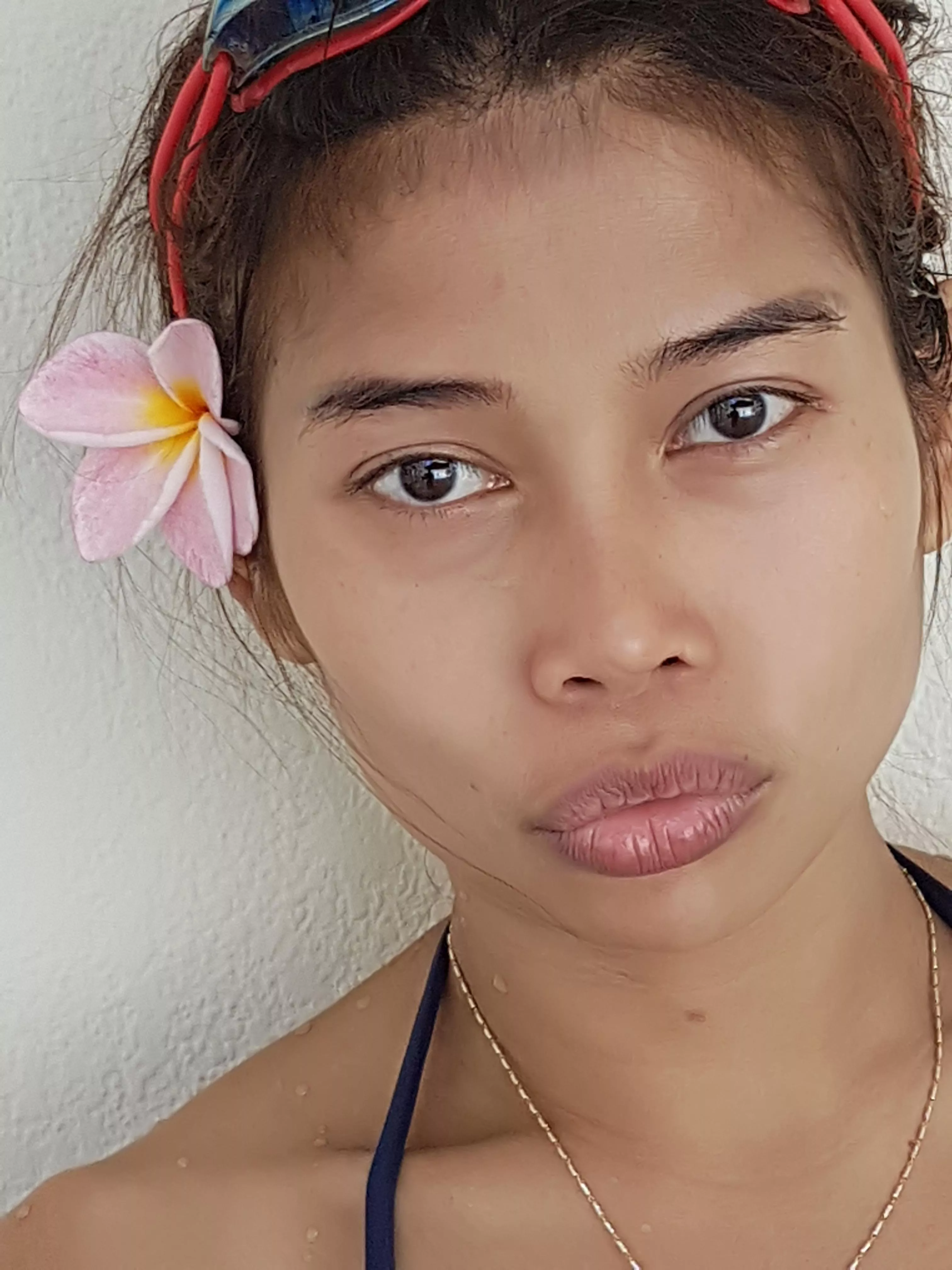 Blooming Asian Petals