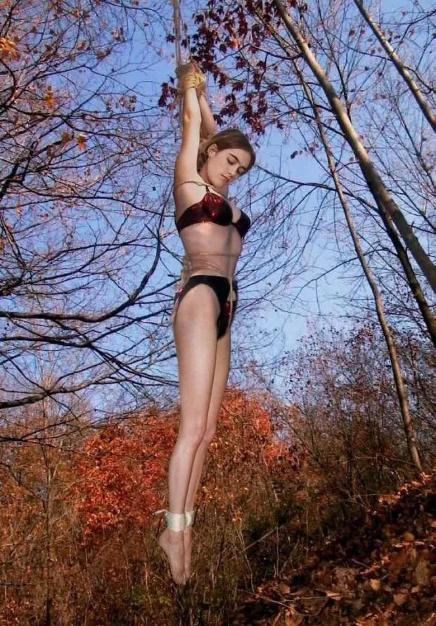 Autumn Nudes Outdoorbondage Nude Pics Org