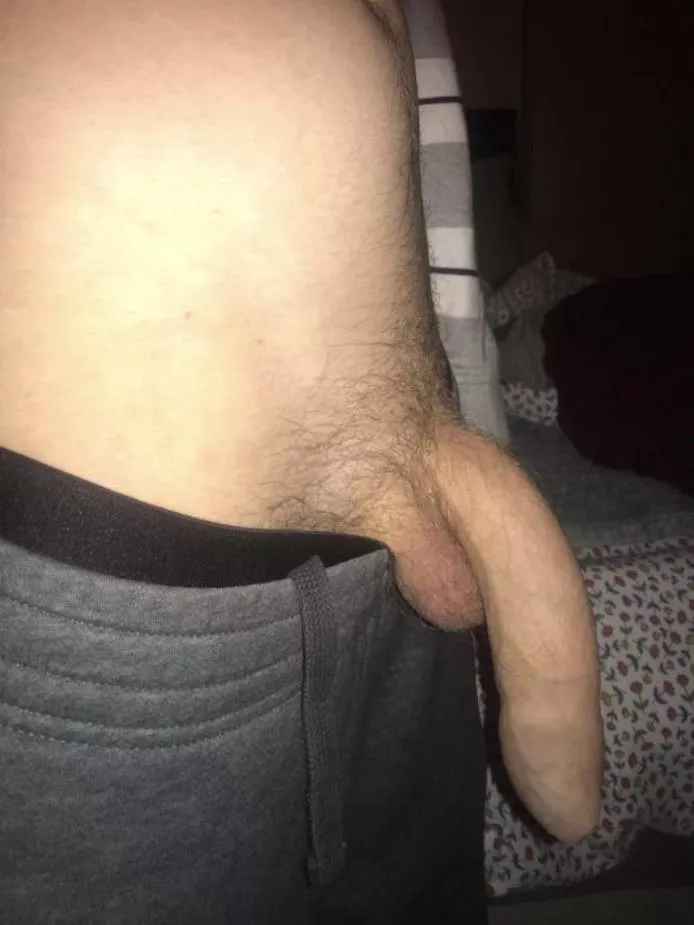 Come And Deepthroat My Huge Cock Nudes Scally NUDE PICS ORG