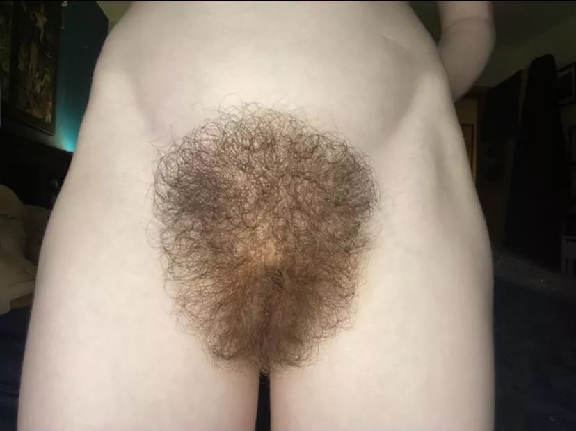 Do You Like My Bush Nudes Gonewildhairy Nude Pics Org