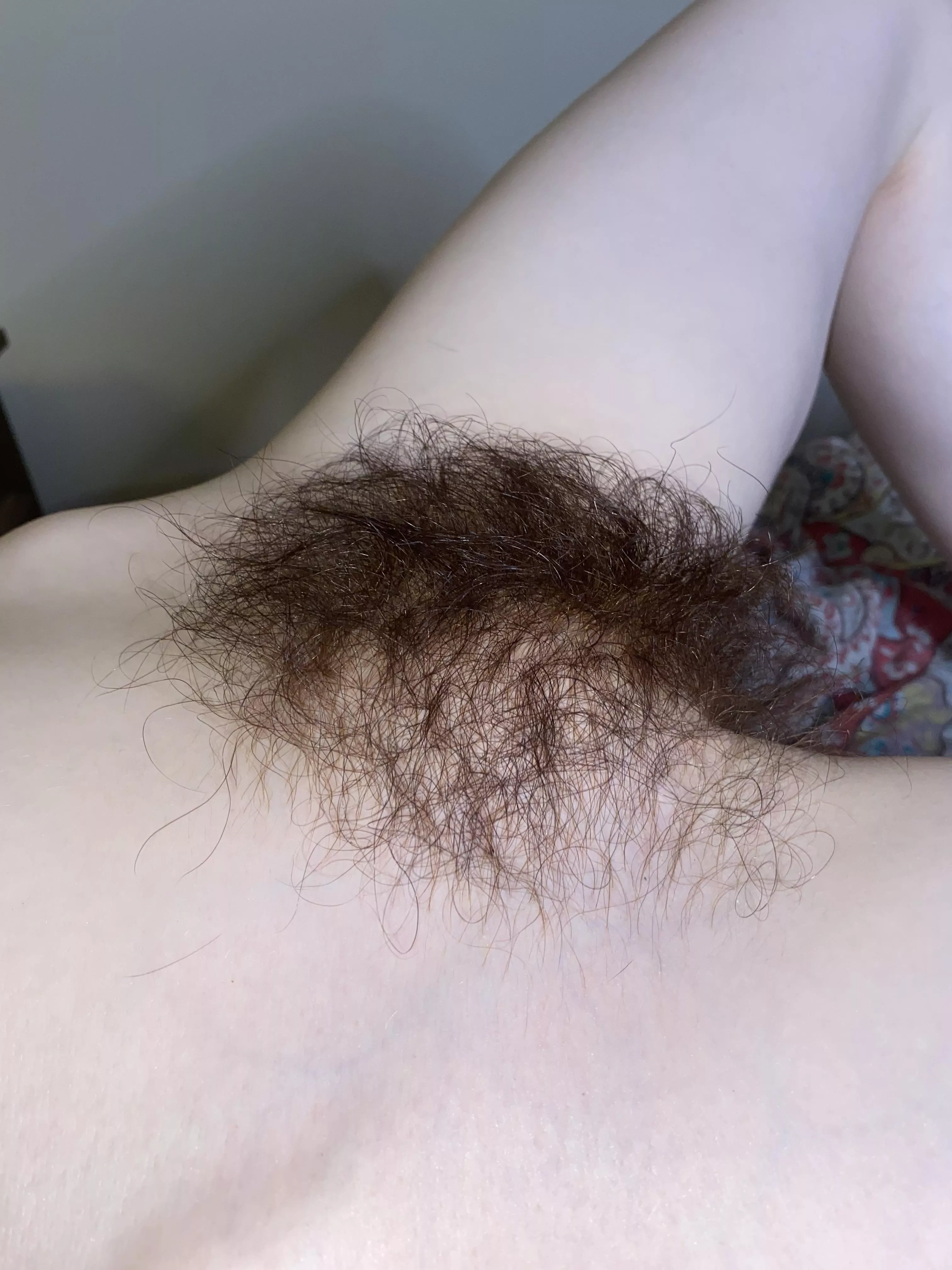 Do You Like My Hairy Pussy Nudes Hairywomenaresexy Nude Pics Org