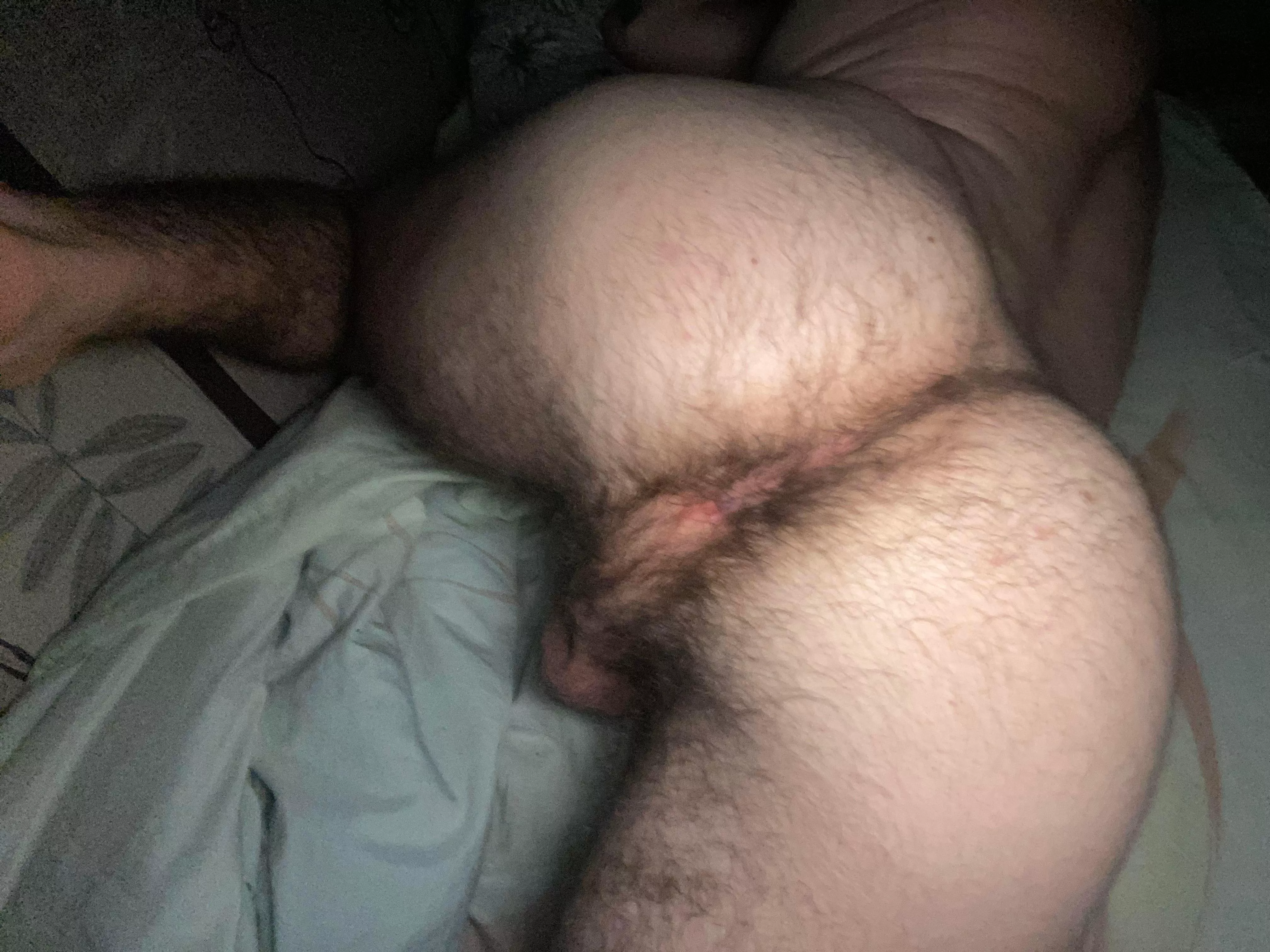 Hello Nudes Hairymanass Nude Pics Org