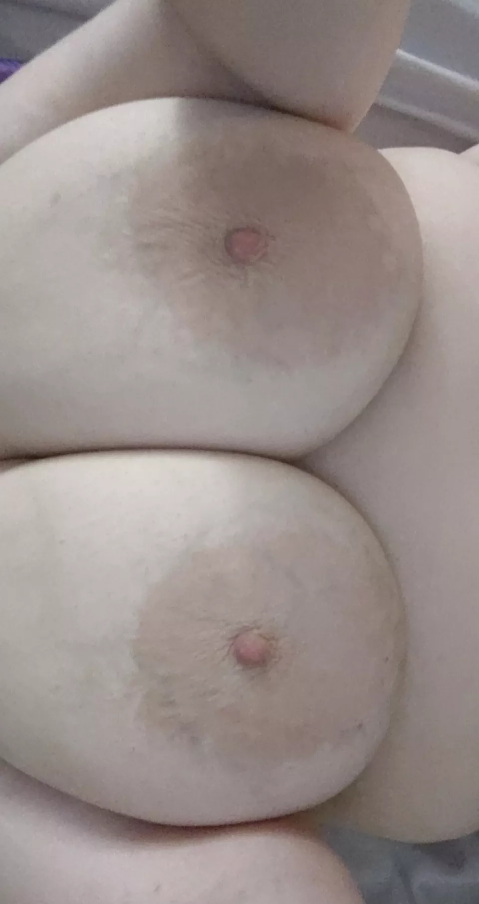 I Think These Are Made To Be Worshipped Nudes Bbw Nude Pics Org