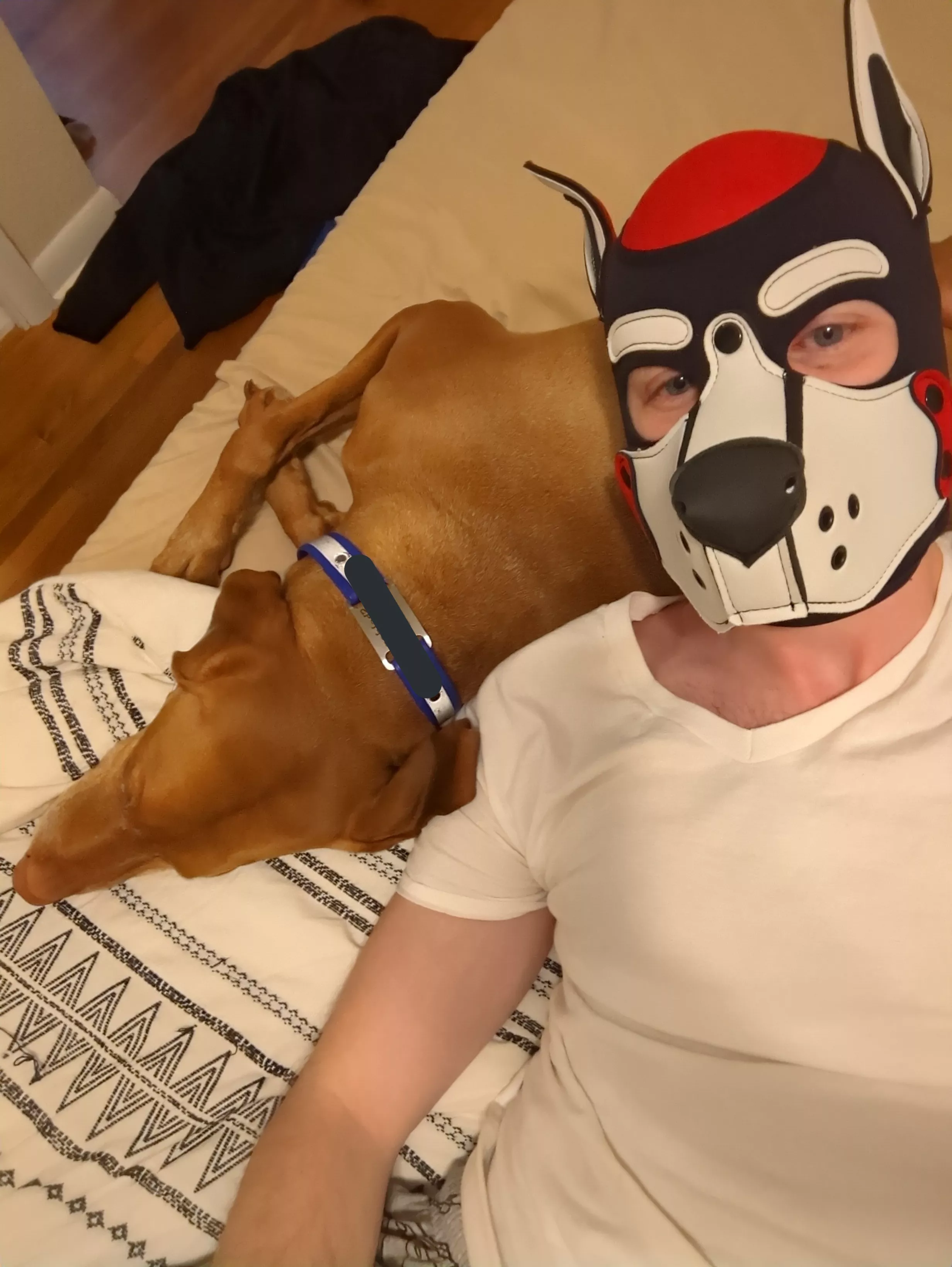 Just A Pup And His Pup Relaxing At Home Nudes PupPlay NUDE PICS ORG