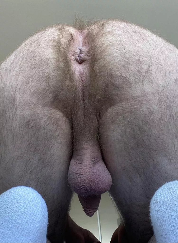 Looking For A Buddy With A Dirty Hairy Stinky Ass Like This For Mutual