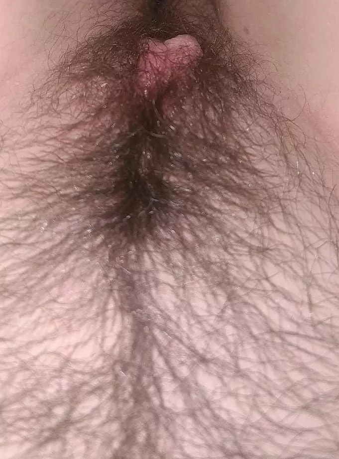 My Hairy Pussy Nudes Hairypussy Nude Pics Org