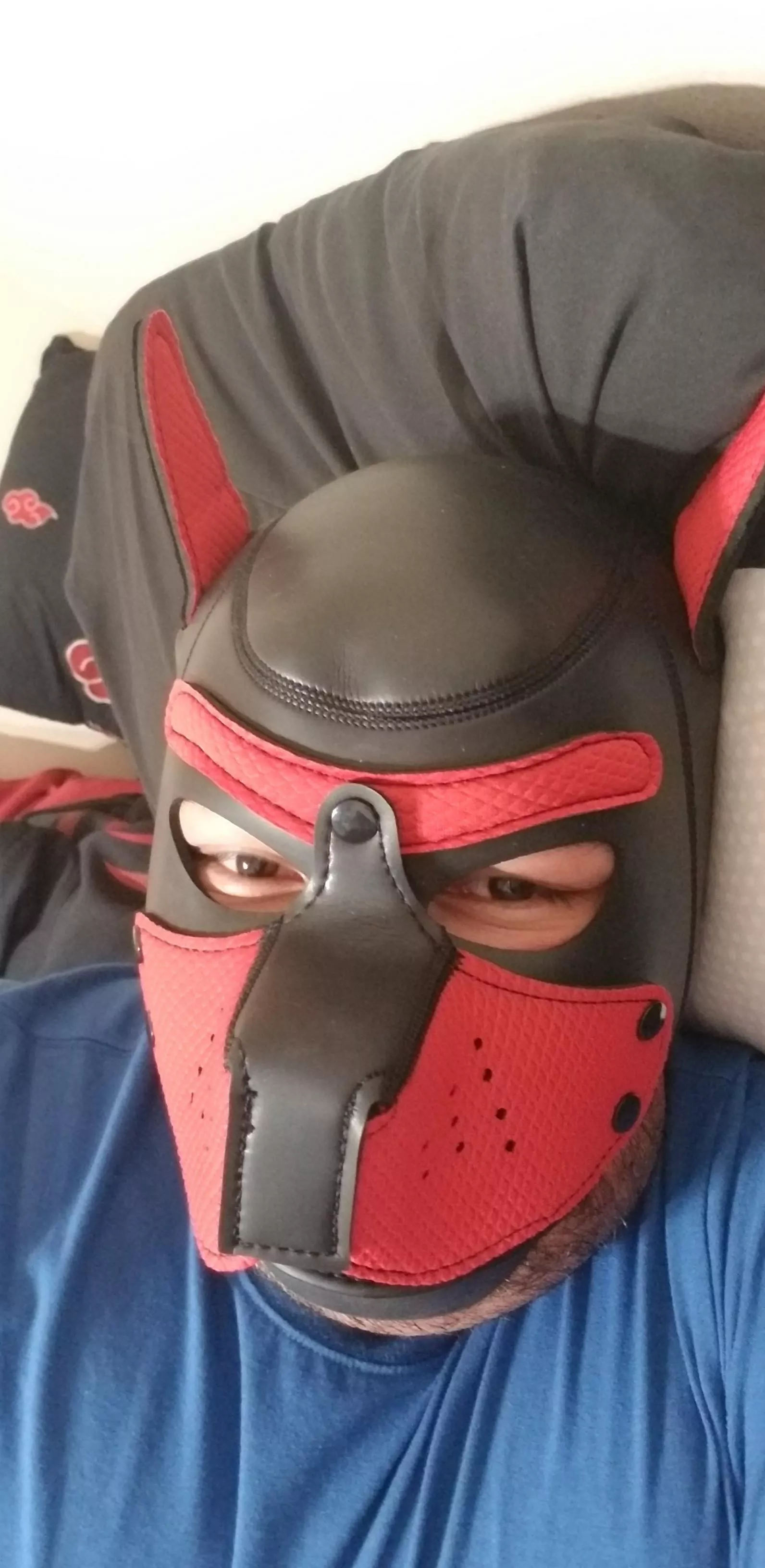 My Mask And Collar Arrived Nudes PupPlay NUDE PICS ORG