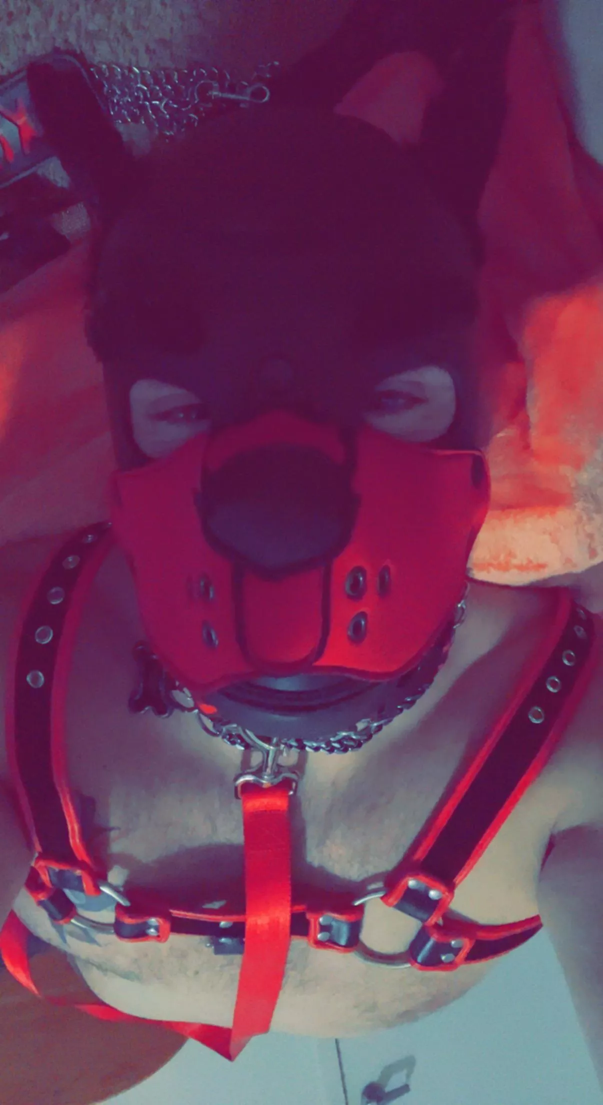 New Pup Hi My Name Is Rex Nudes Pupplay Nude Pics Org