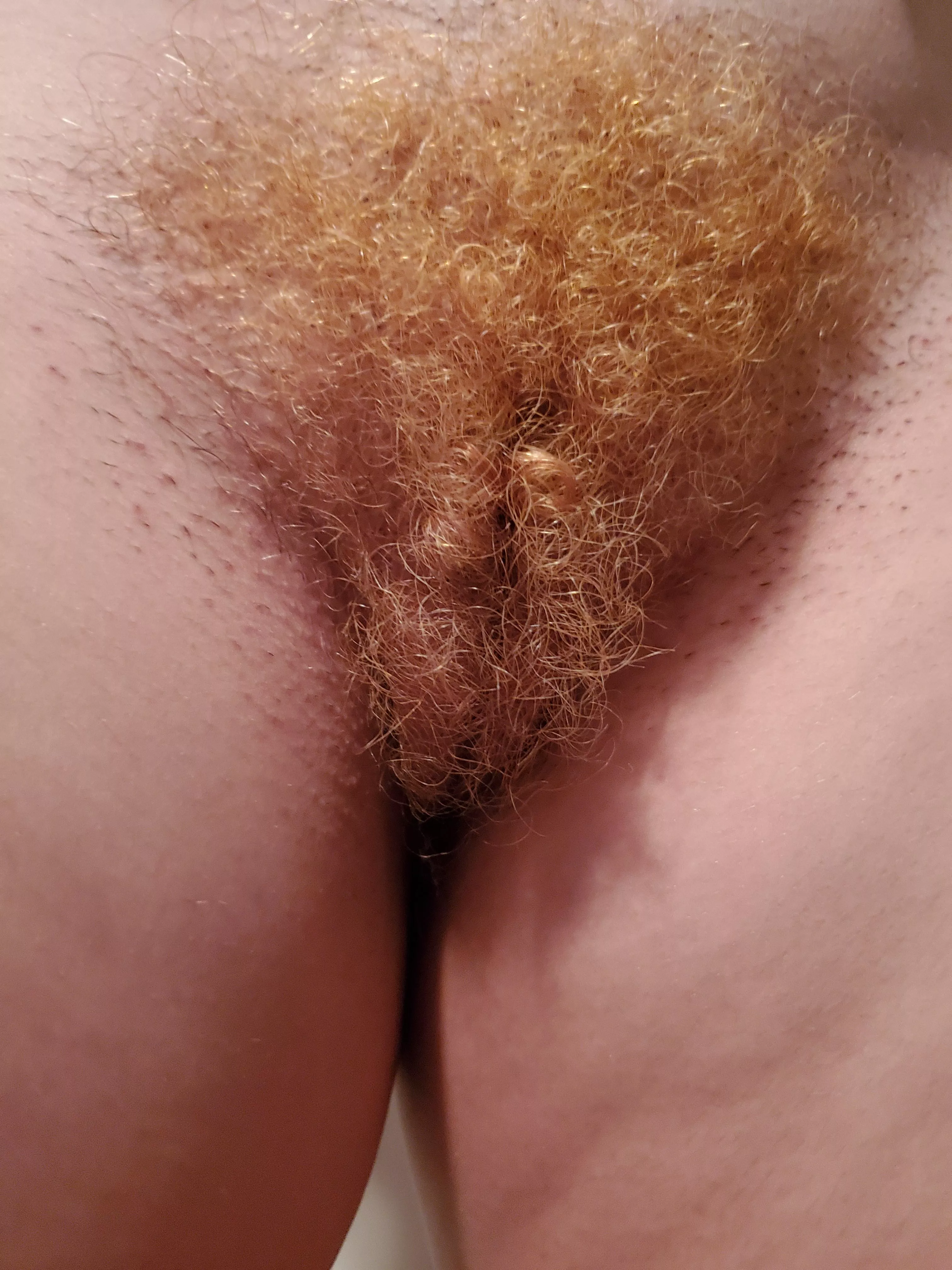 Real Sluts Bleach It Nudes Hairypussy Nude Pics Org