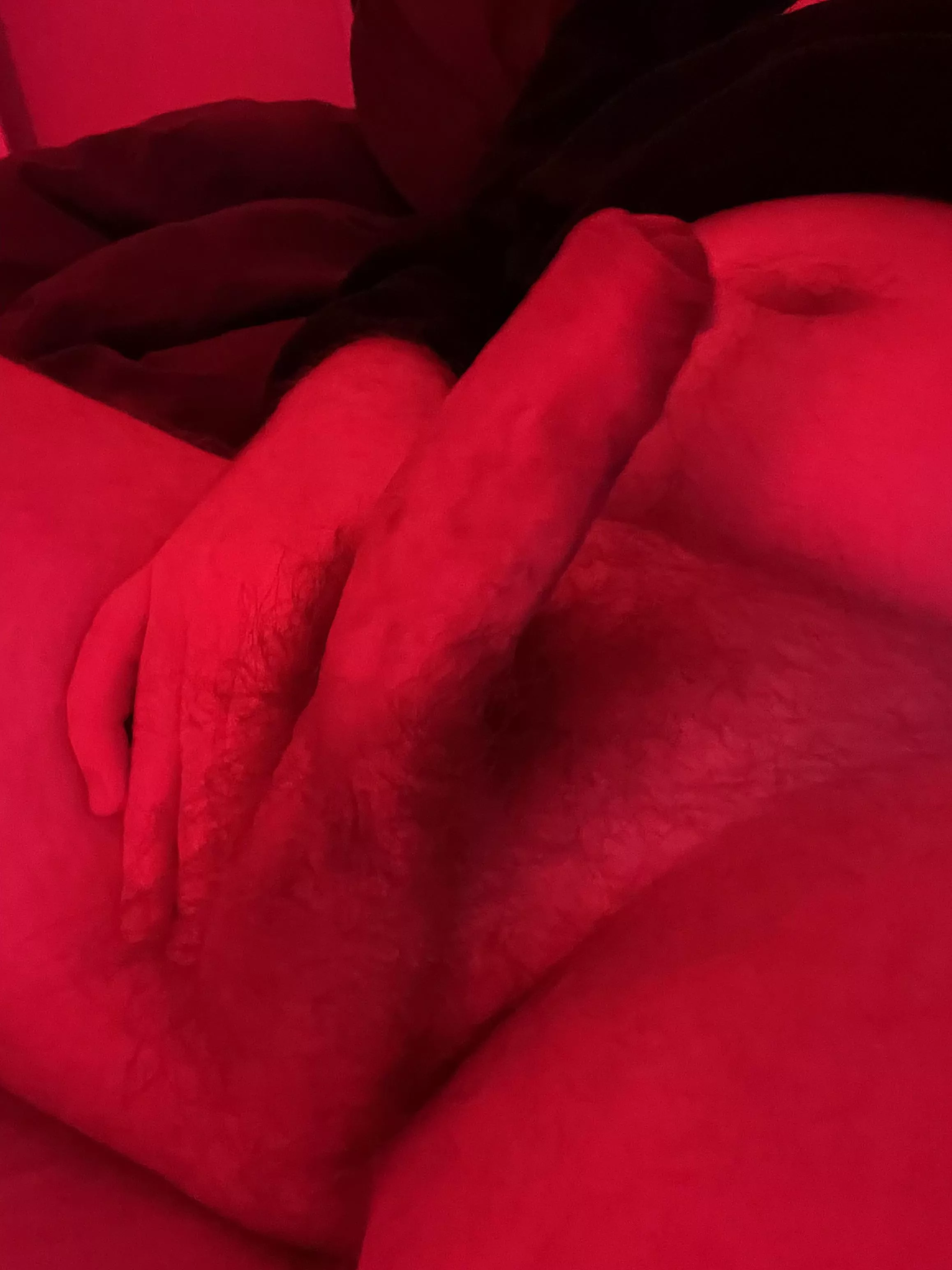 Red Light On A Ginger Cock Nudes Gingerdudes Nude Pics Org