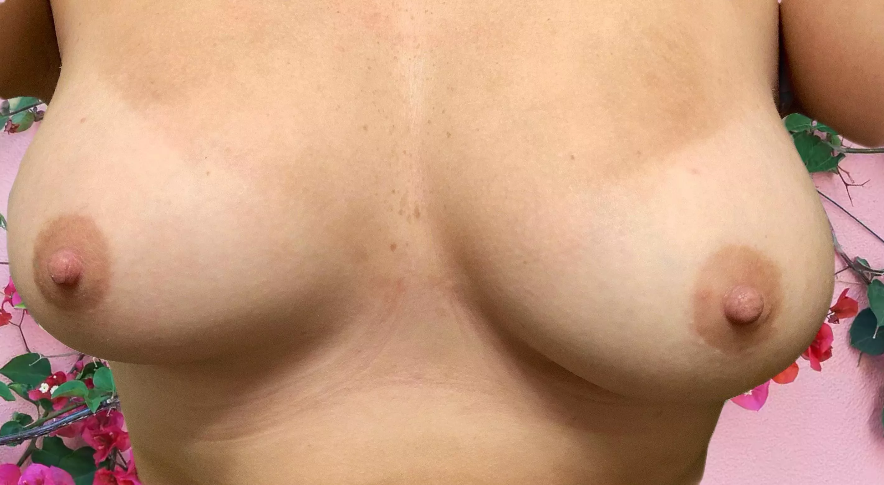 Reposting Nudes Ratemyboobs Nude Pics Org