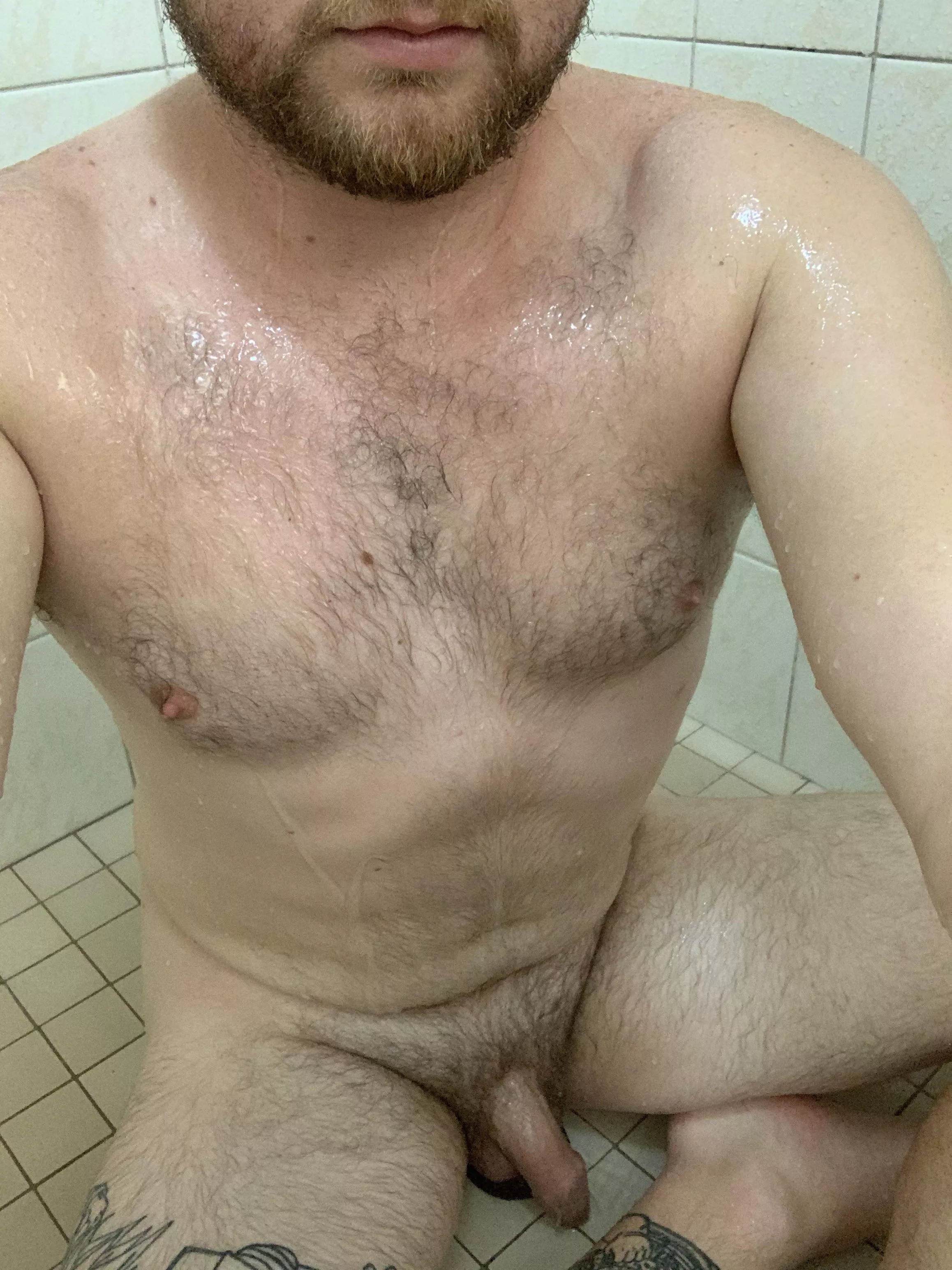 Sitting In The Shower Nudes Chesthairporn Nude Pics Org