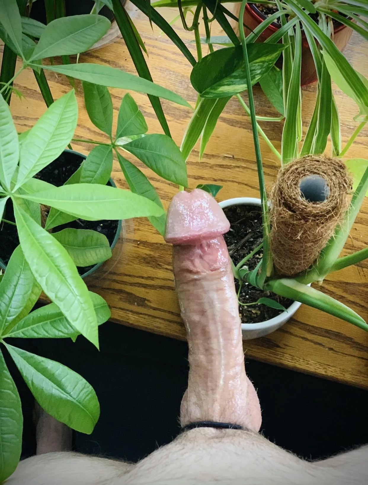 Vibrant And Perky Nudes Cock Nude Pics Org