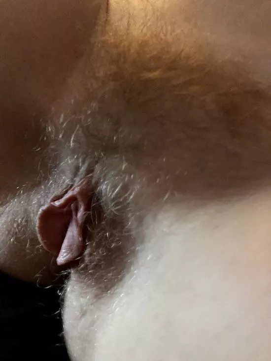 Wifes Very Wild Furry Blonde Pussy And Wide Open Big Meaty Labia