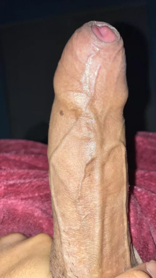 š