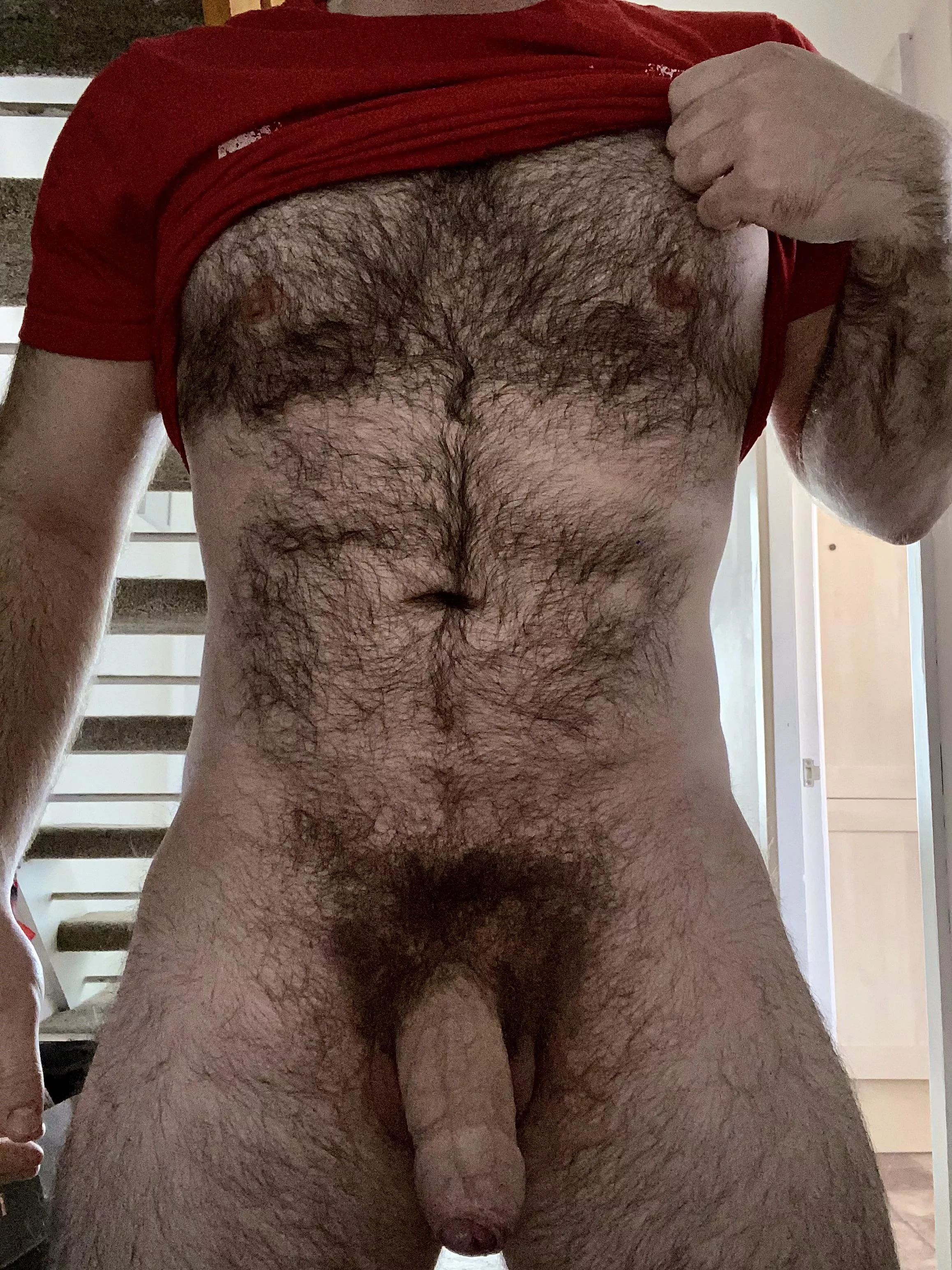 🐻 🐻