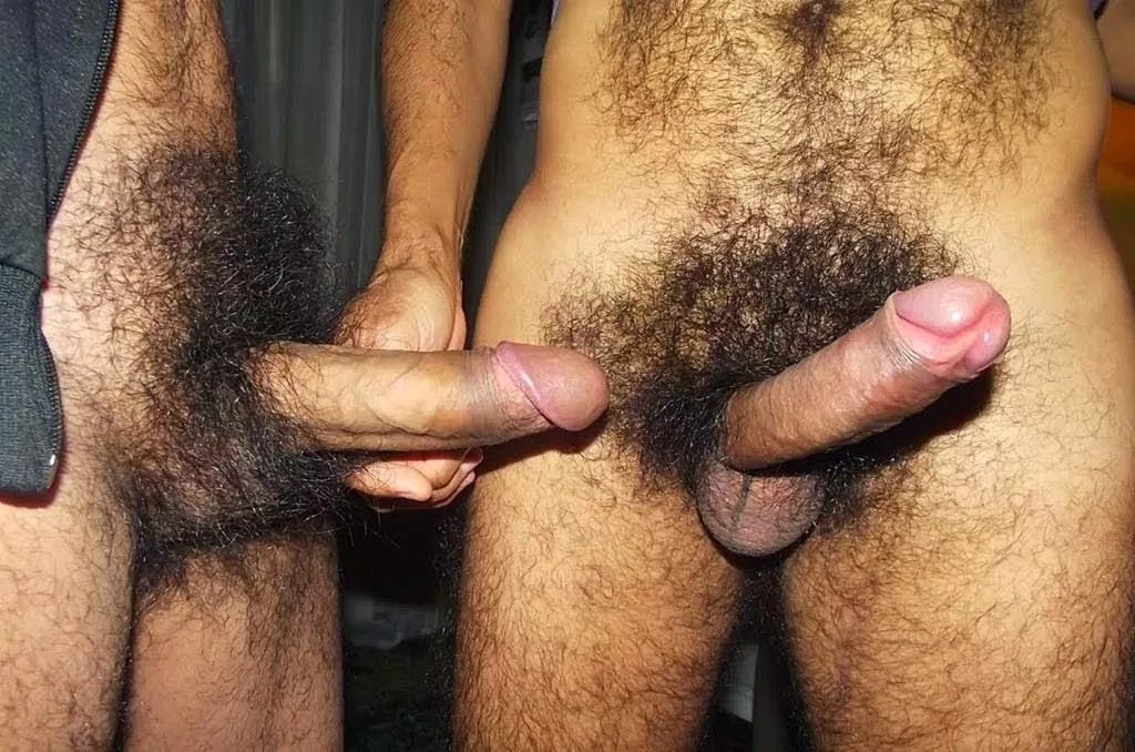 🔥🔥🔥🔥🔥🔥🔥🔥