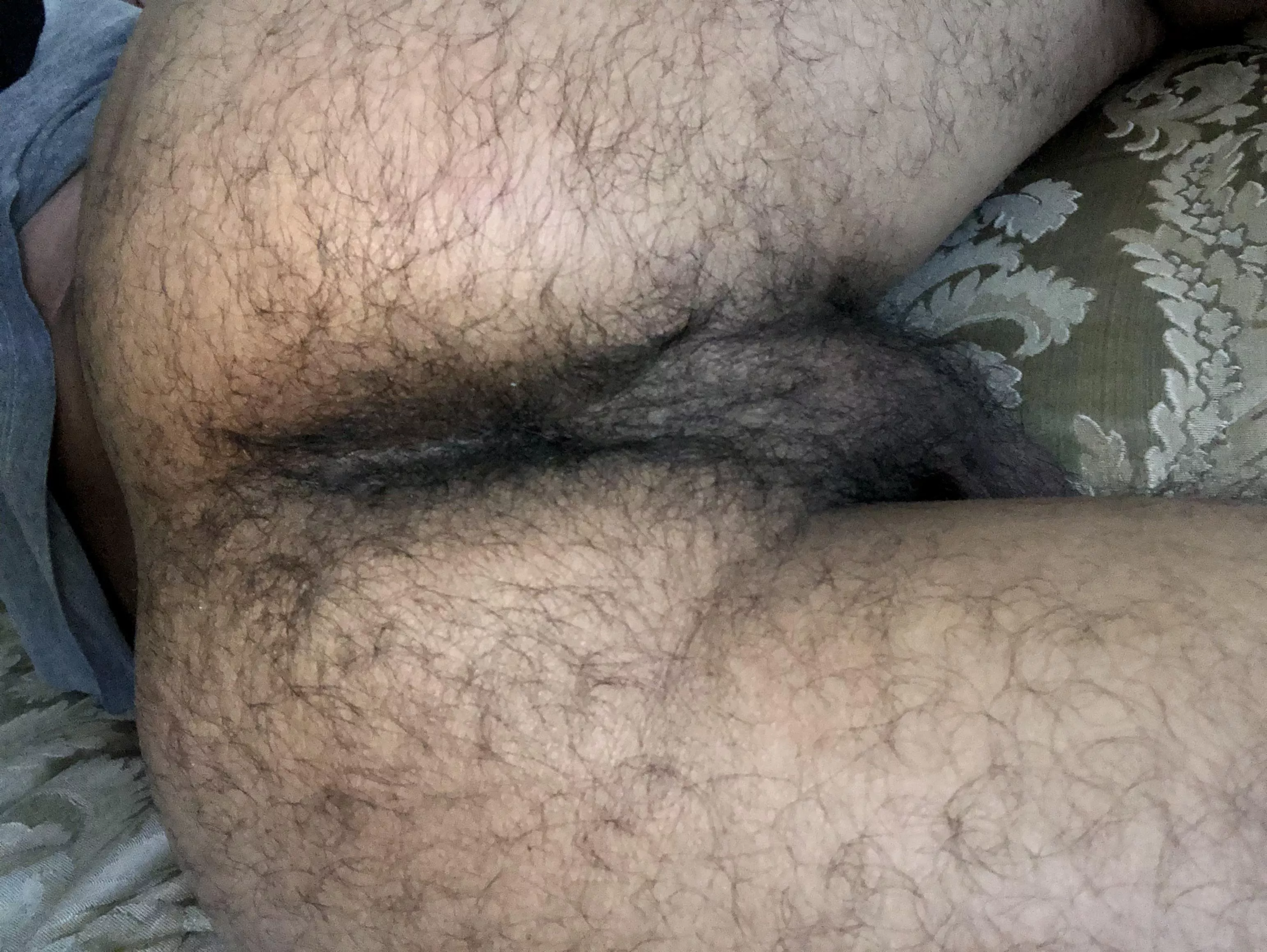 Nudes Hairymanass Nude Pics Org