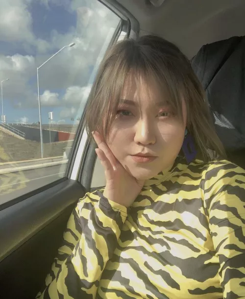 🐯