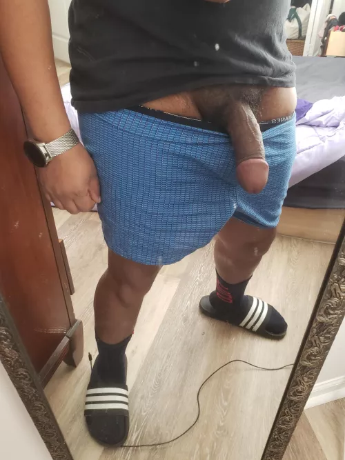 🍆