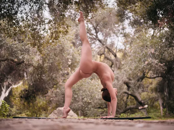 🍑