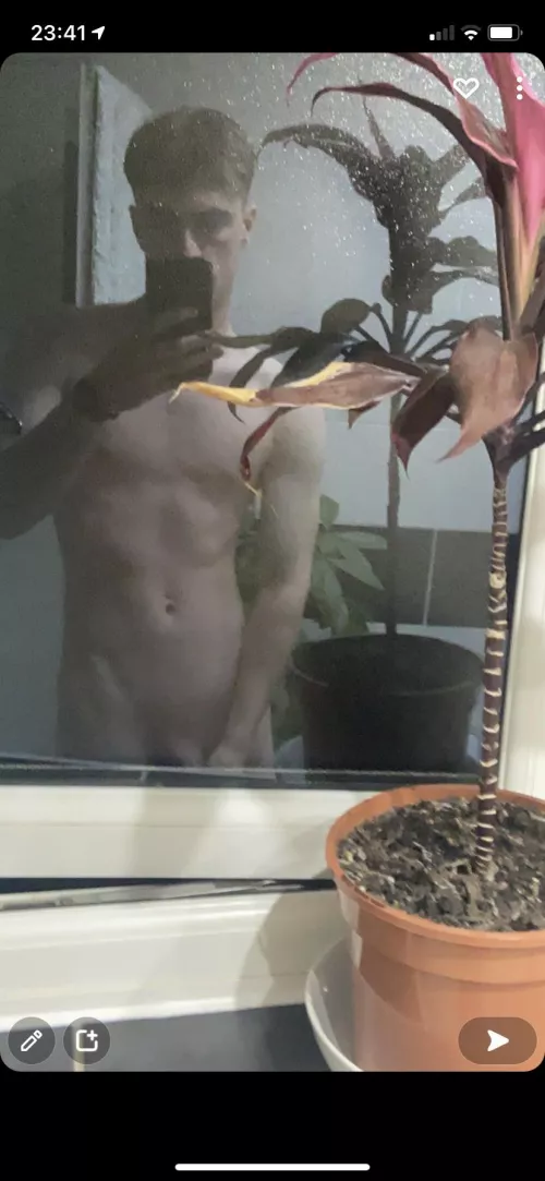 š