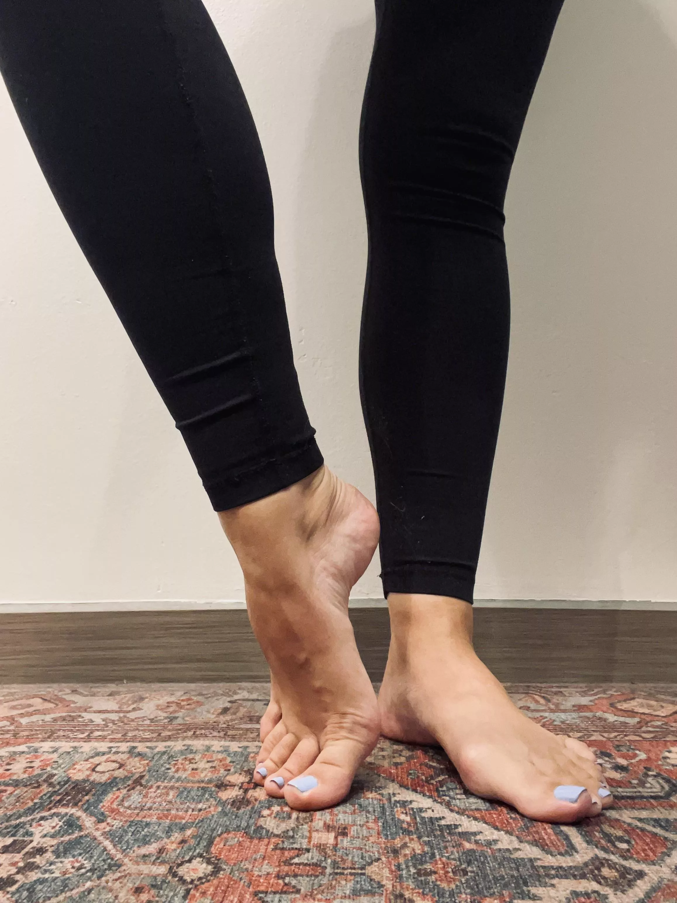 🦩🦩🦩 🦩🦩🦩