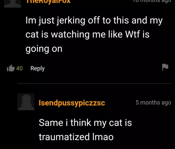 🐱: 😕🤷♂️?