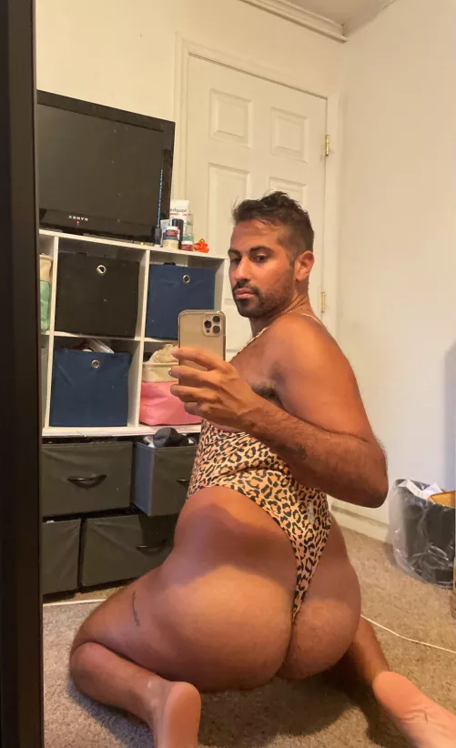 🐆🐆🐆
