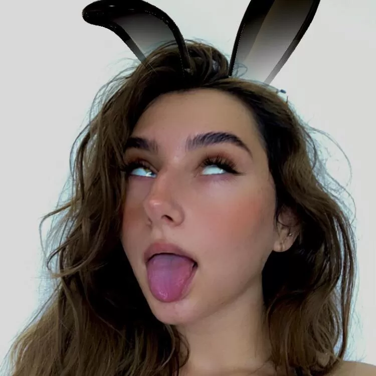 🖤🐰