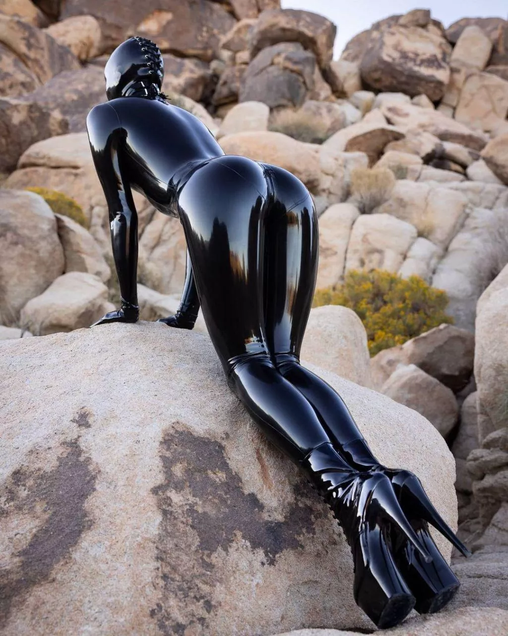 😍😍😍😍😍😍