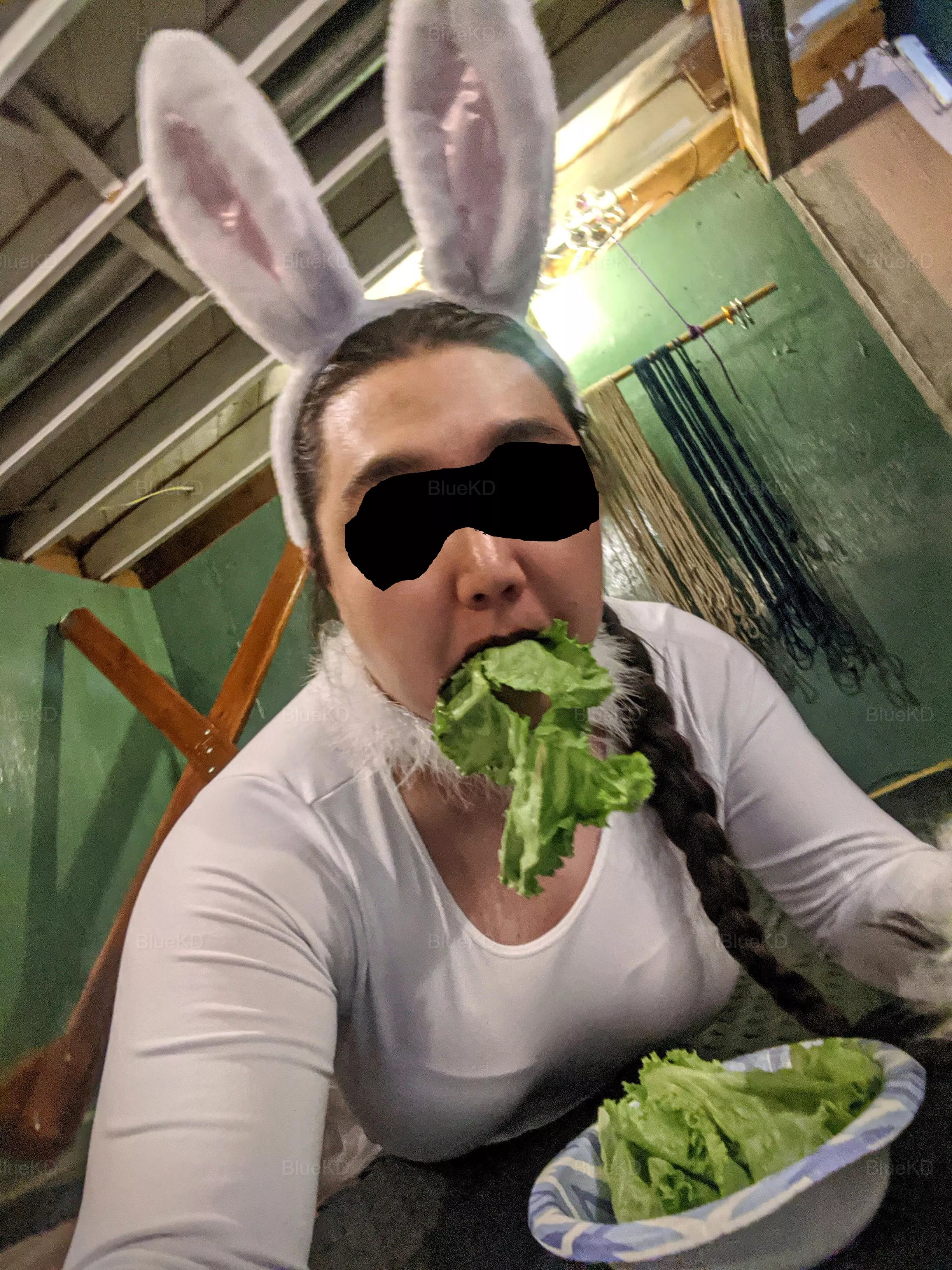 🥗🐇 🥗🐇