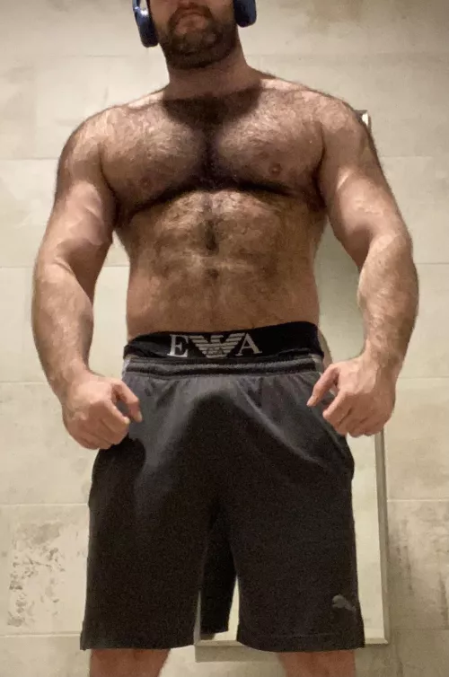 🐻
