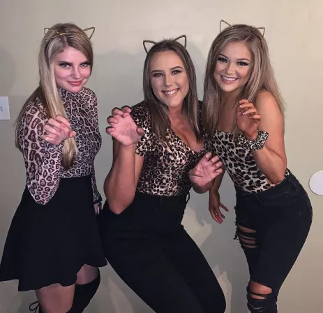 😺😺😺