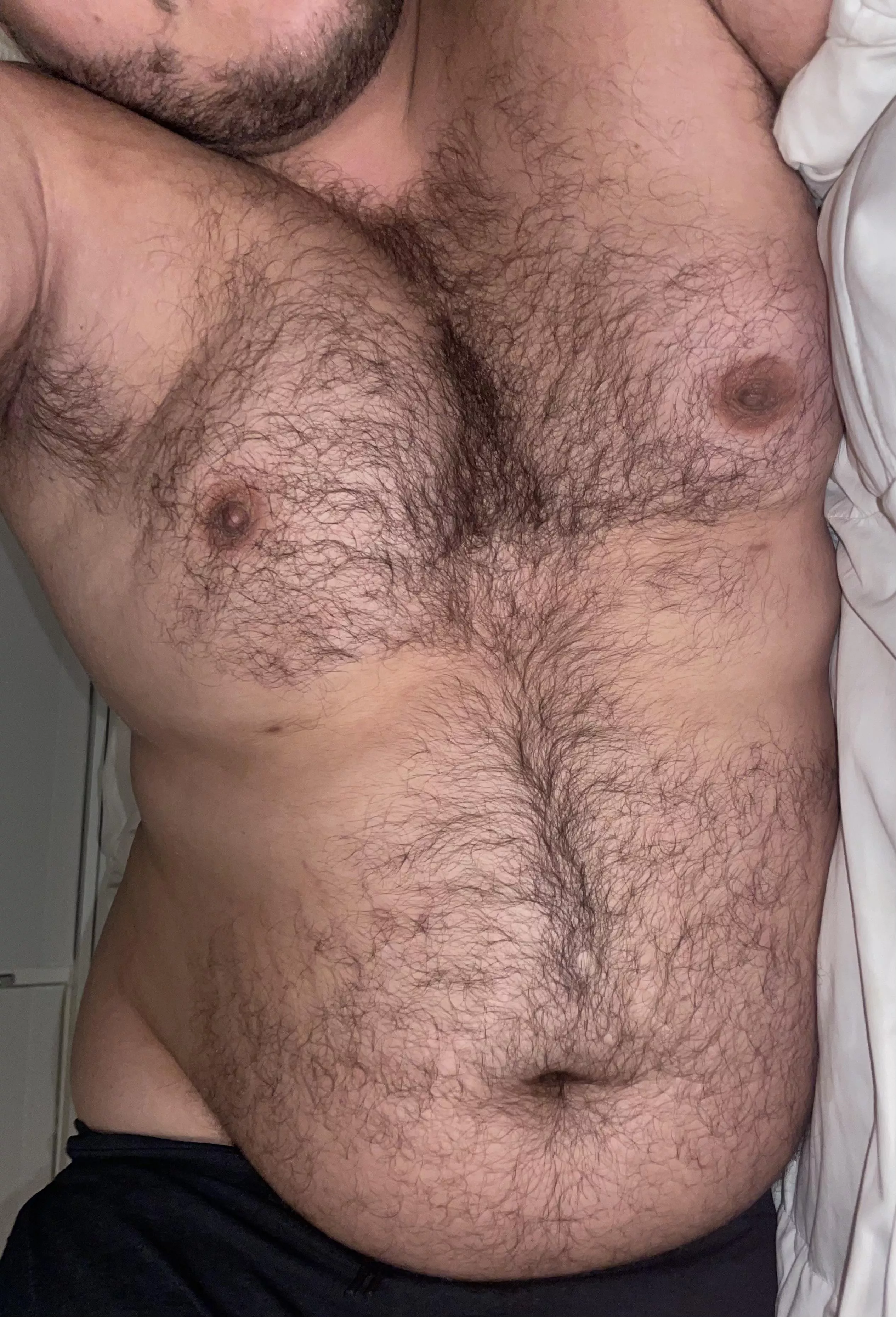 🐻 🐻