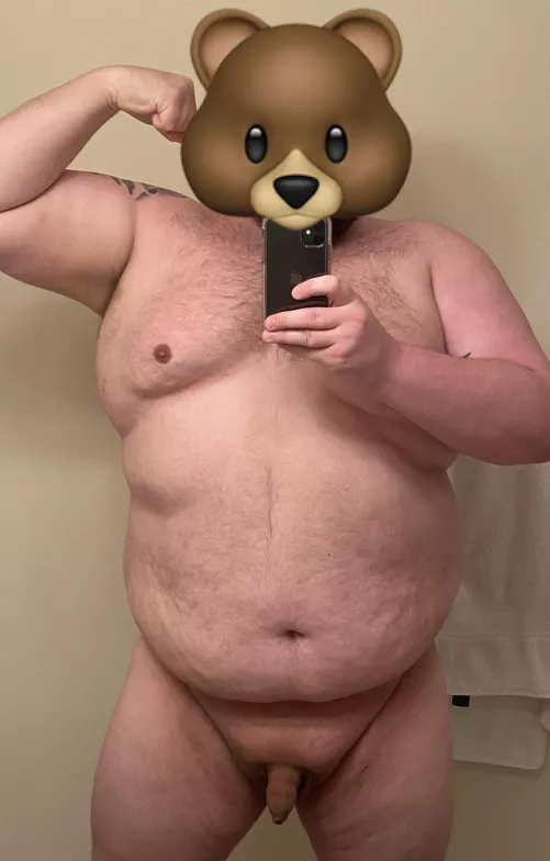 🐻🤎