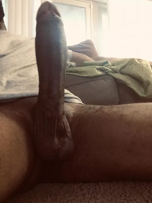 🙋🏾♂️