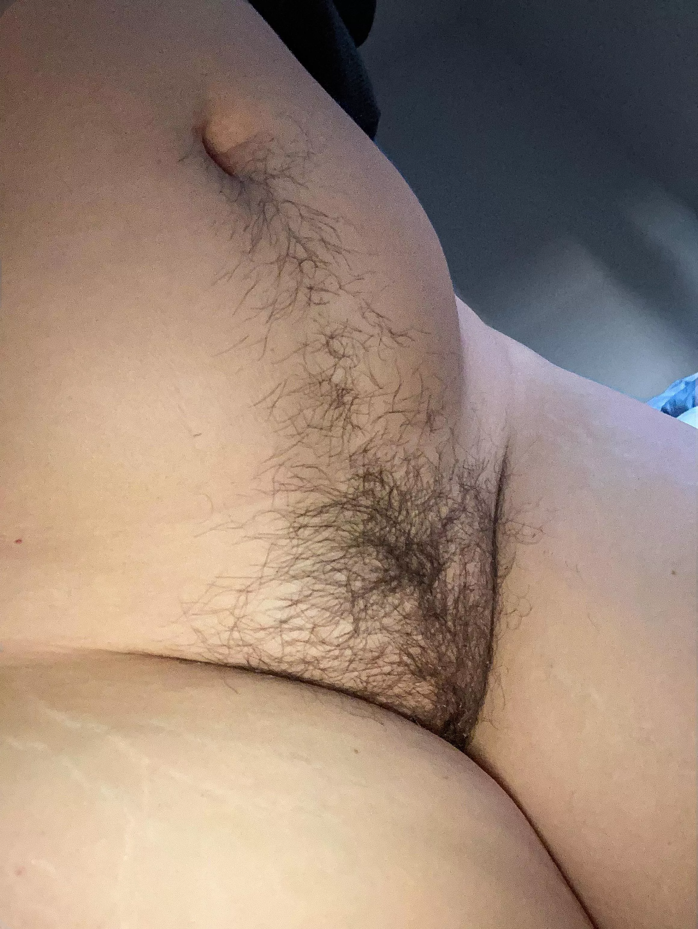 1 Month Growth: Should I do a No Shave After November Challenge? 1 Month Growth: Should I do a No Shave After November Challenge?