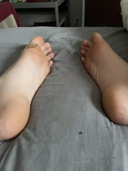 18 8” hs alpha hmu if u are a freak and will do whatever ur master wants ;)