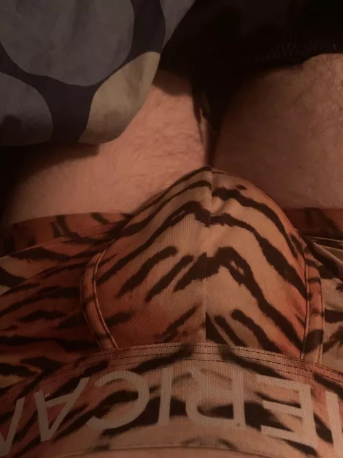 18 male switch looking to trade and what not HMU if interested