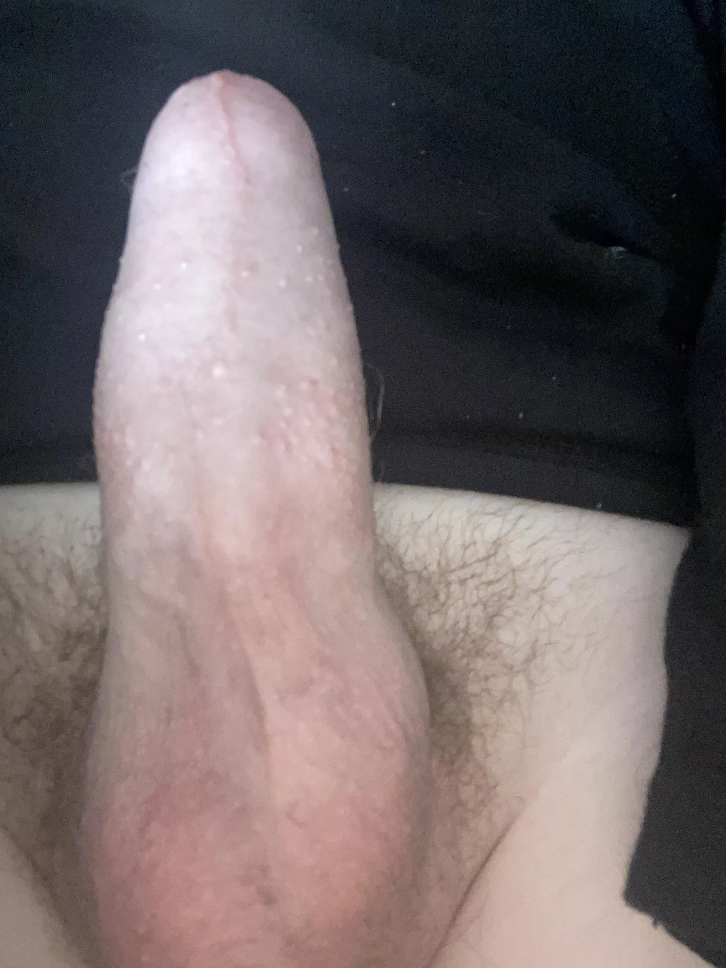[18] pm me Help me with my morning wifi and I’ll cum on anyone you want