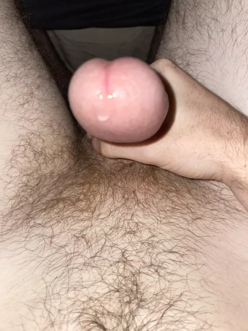 18 virgin