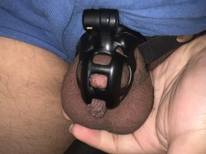 18 y/o - day 25 of locktober, I really have been so horny recently, this really has been my longest time locked ever so far… do you think I should stay locked for the rest of 2021?