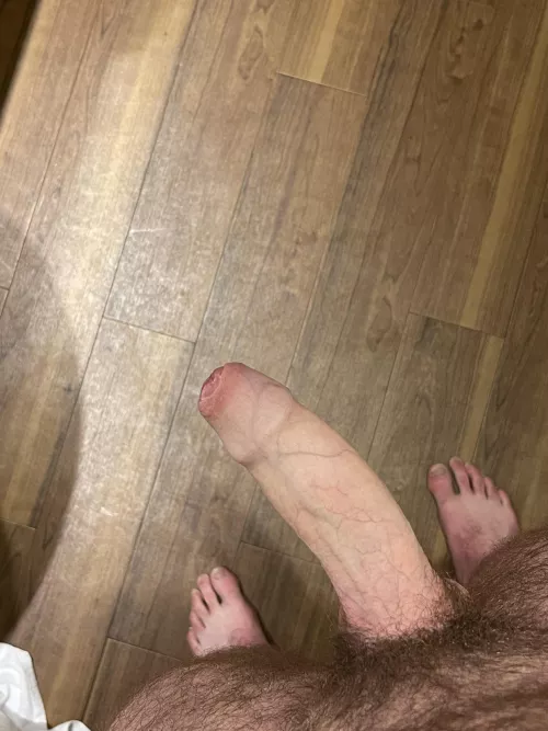 19 and hairyπ