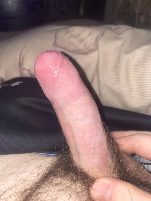 [19] Feeling horny, anyone for some fun?