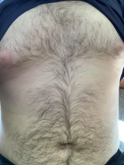 (19) Felt hairy today