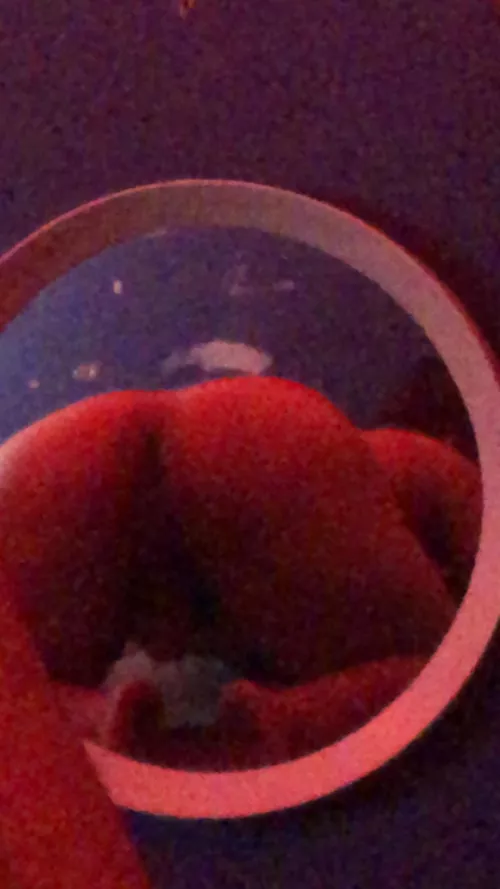 19 horny as fuckkkk I love big cocks and a nice ass I’ll do anything