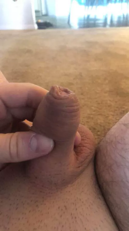 [19] if you like it dm me (: