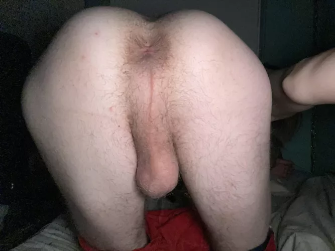 19 m idk if i belong here but alway down to talk